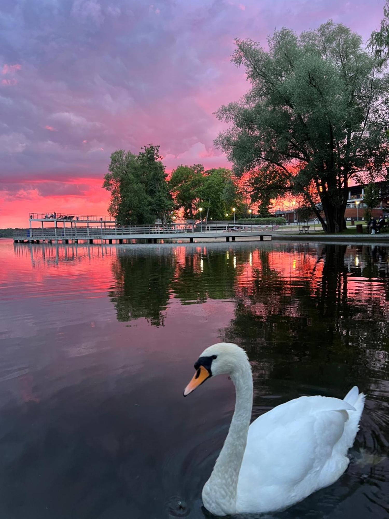 Appartamento Apartament Ptasie Radio Szczecinek Esterno foto